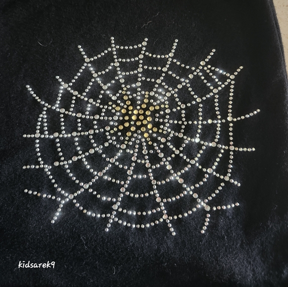 Beautiful beaded spider 🕷 web LS shirt. 🖤 - Picture 5 of 8